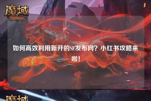 如何高效利用新開的SF發(fā)布網(wǎng)？小紅書攻略來啦！