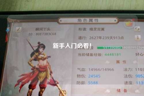 新手入門必看！