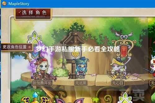 夢(mèng)幻手游私服新手必看全攻略