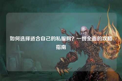 如何選擇適合自己的私服網(wǎng)？一份全面的攻略指南