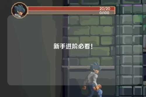 新手進(jìn)階必看！