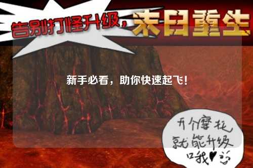 新手必看，助你快速起飛！