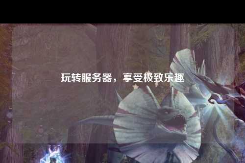 玩轉(zhuǎn)服務(wù)器，享受極致樂趣