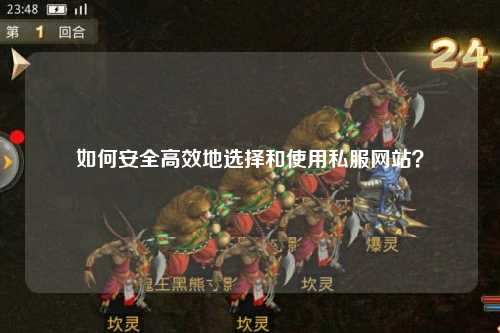 如何安全高效地選擇和使用私服網(wǎng)站？