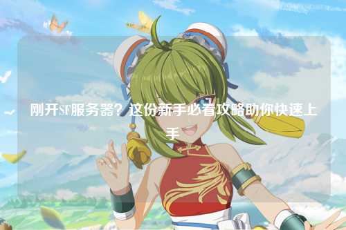 剛開SF服務(wù)器？這份新手必看攻略助你快速上手