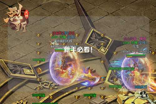 新手必看！
