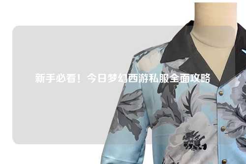 新手必看！今日夢幻西游私服全面攻略