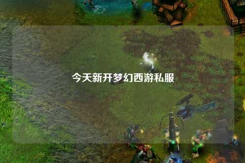 今天新開夢(mèng)幻西游私服