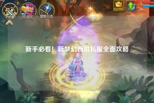 新手必看！新夢幻西游私服全面攻略