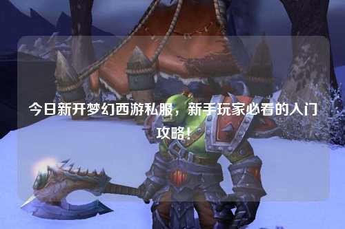 今日新開夢幻西游私服，新手玩家必看的入門攻略！